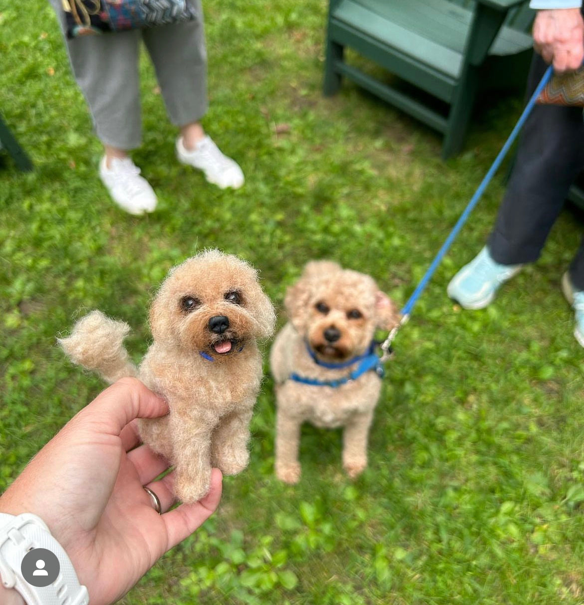 Custom Little Wool Dogs