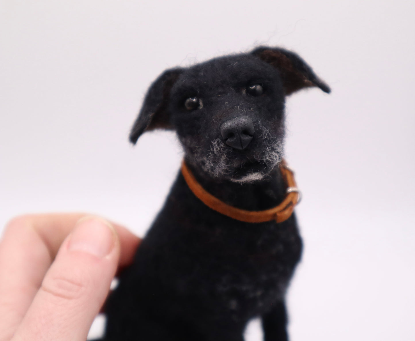 Custom Little Wool Dogs
