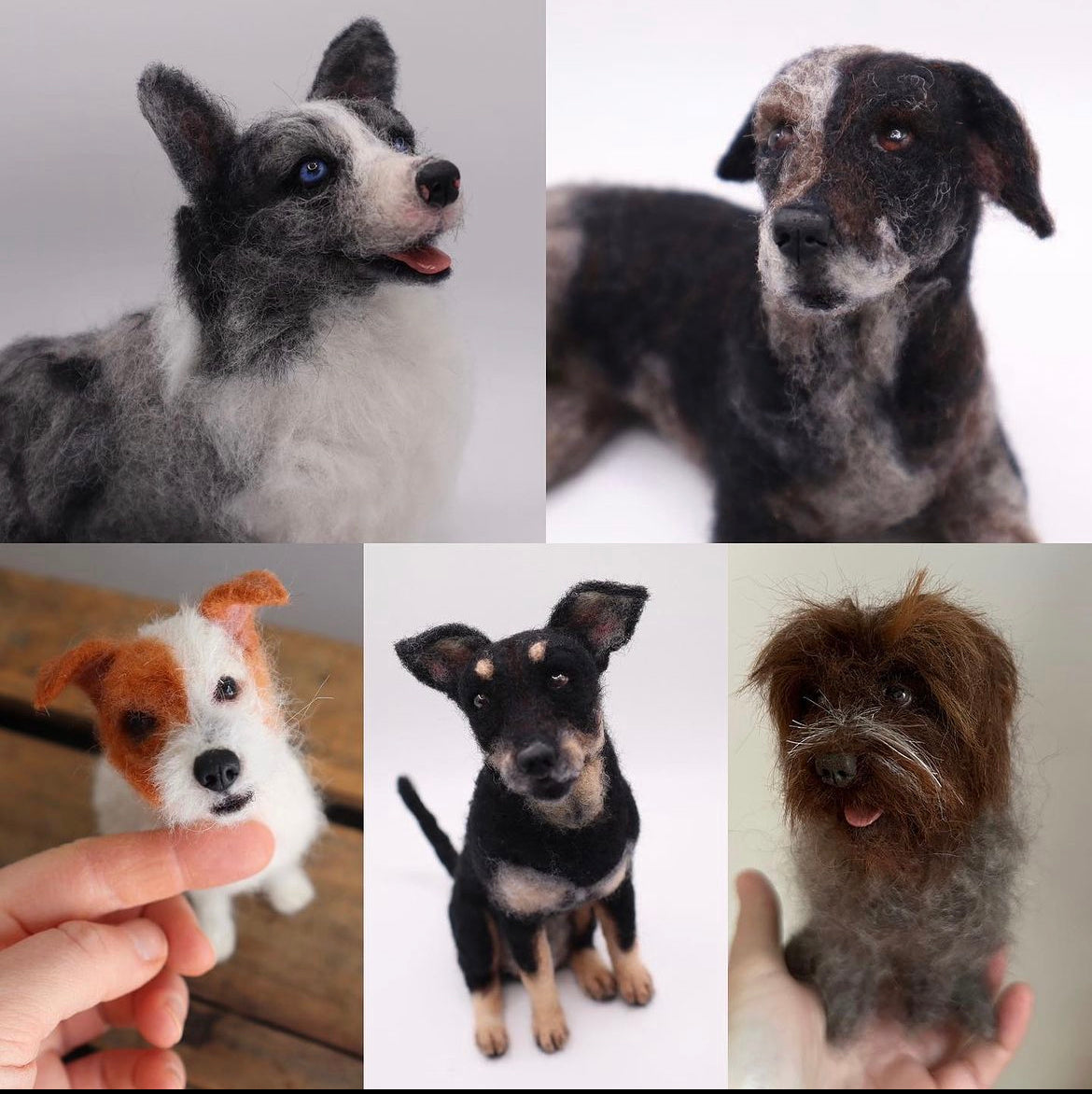 Custom Little Wool Dogs