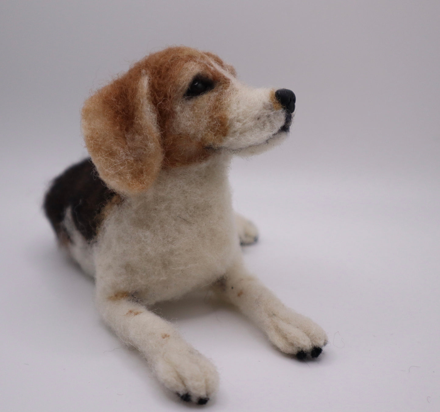 Custom Little Wool Dogs