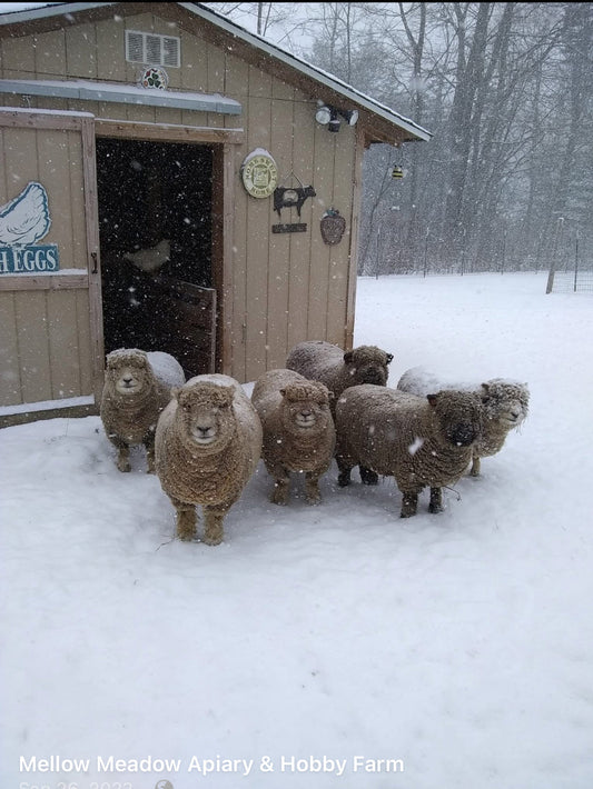 Wool in my hands