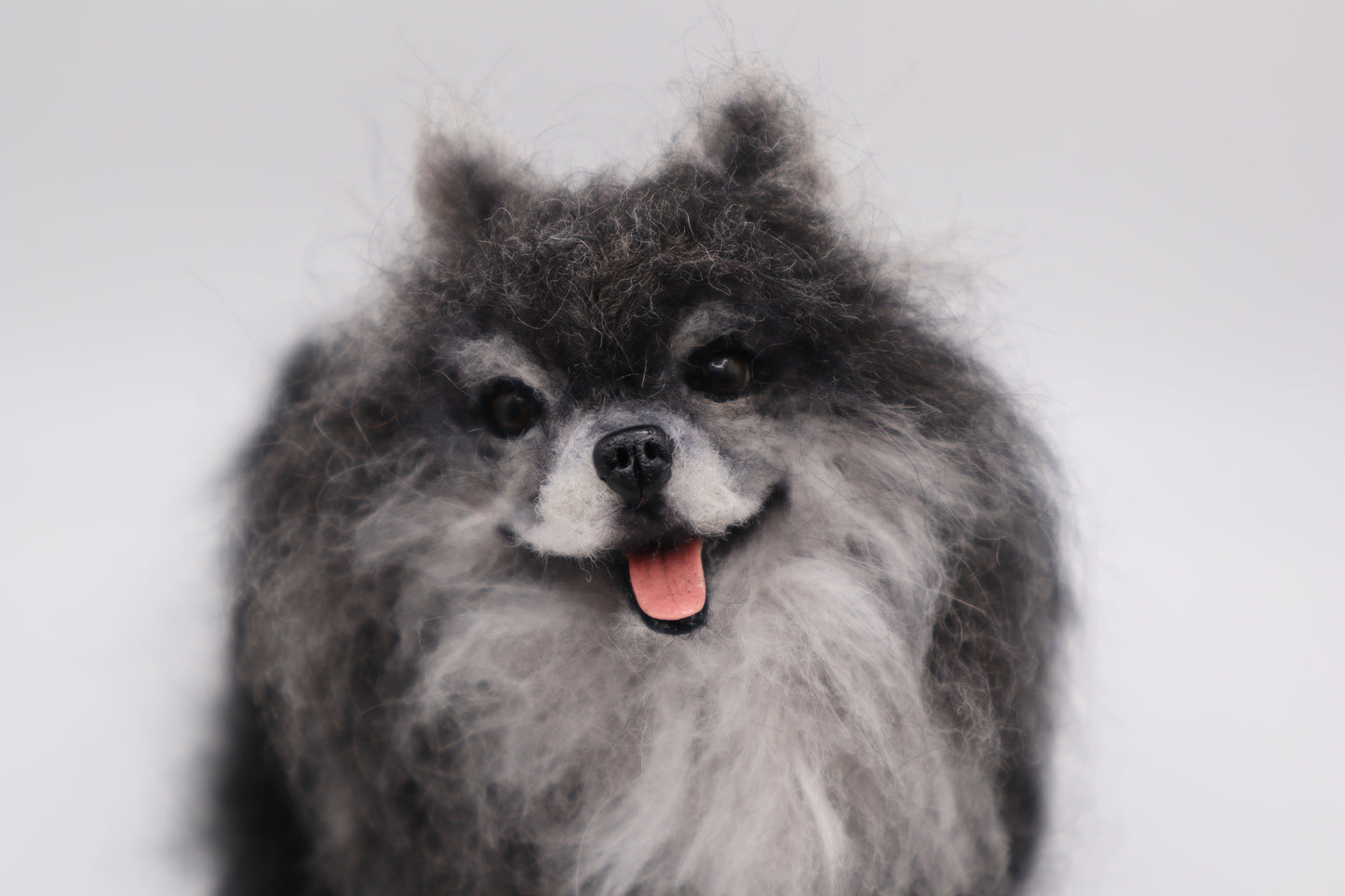 Custom Little Wool Dogs