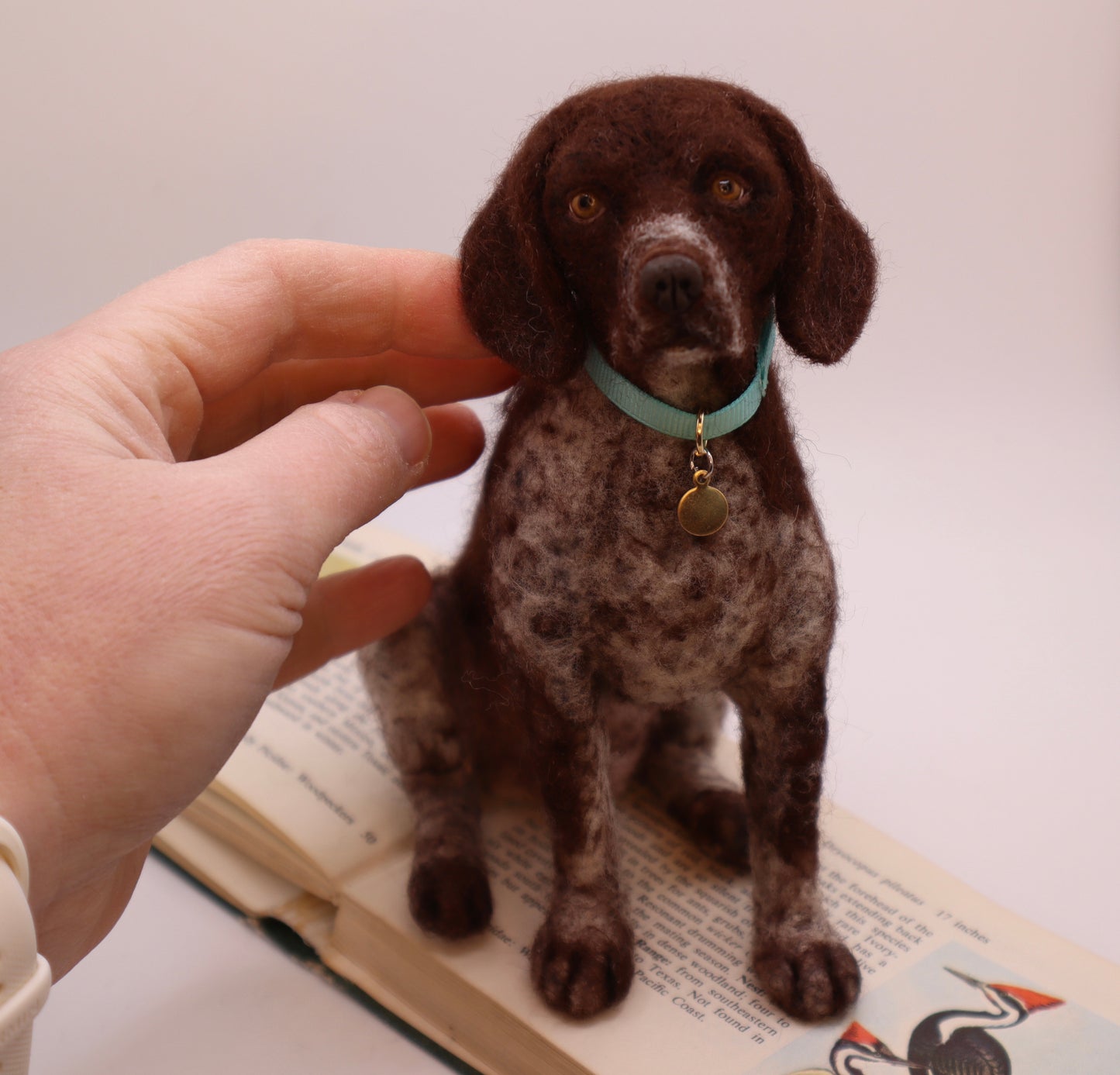 Custom Little Wool Dogs