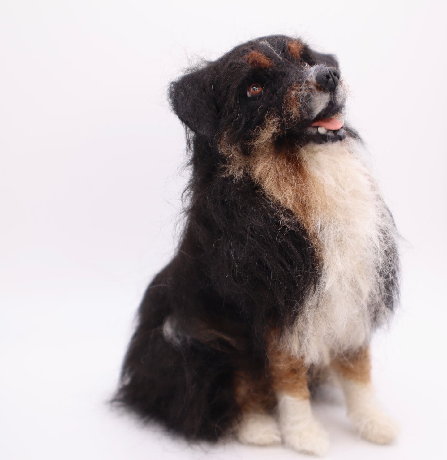 Custom Little Wool Dogs