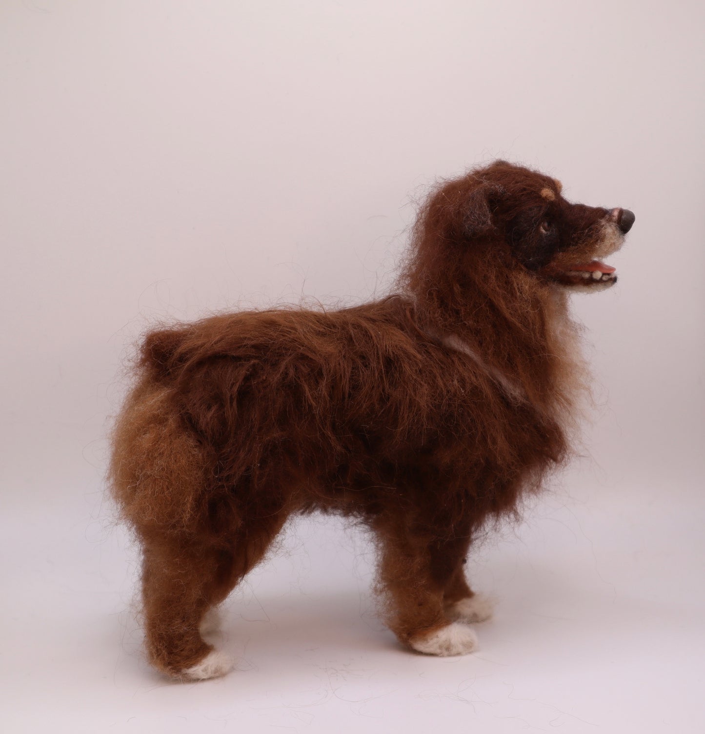 Custom Little Wool Dogs