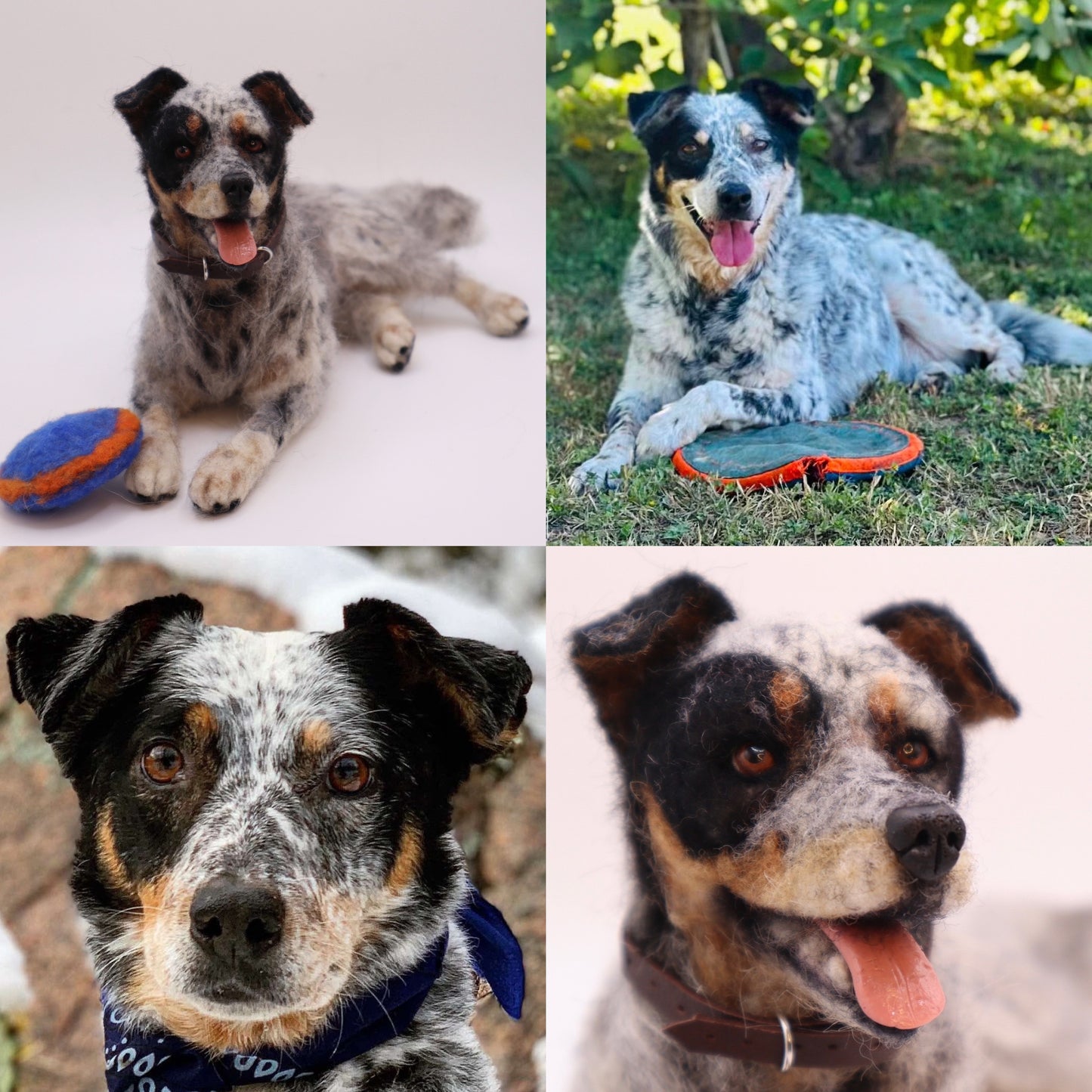 Custom Little Wool Dogs