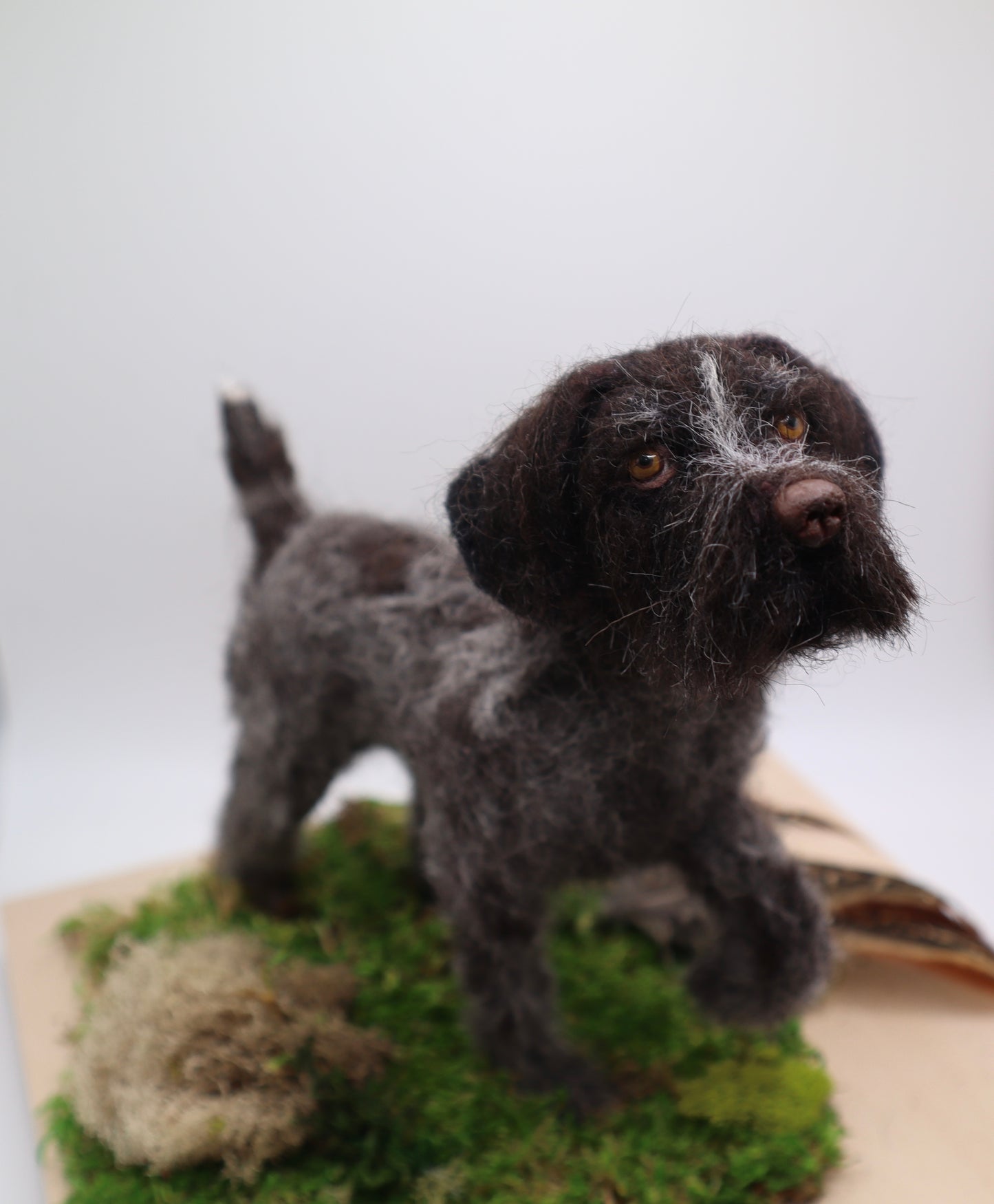 Custom Little Wool Dogs