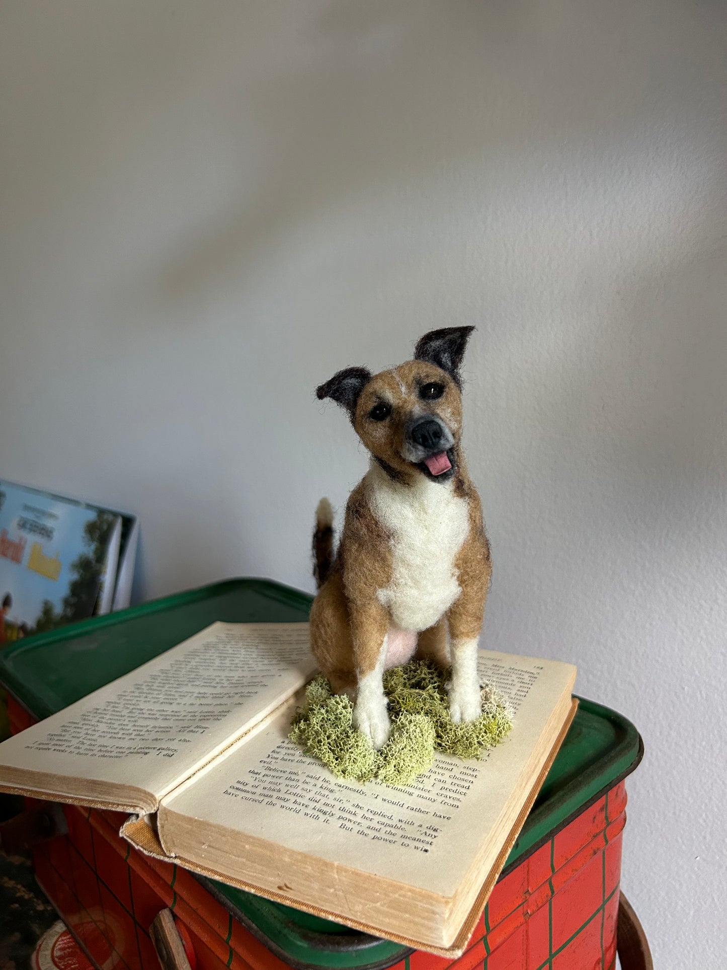 Custom Little Wool Dogs
