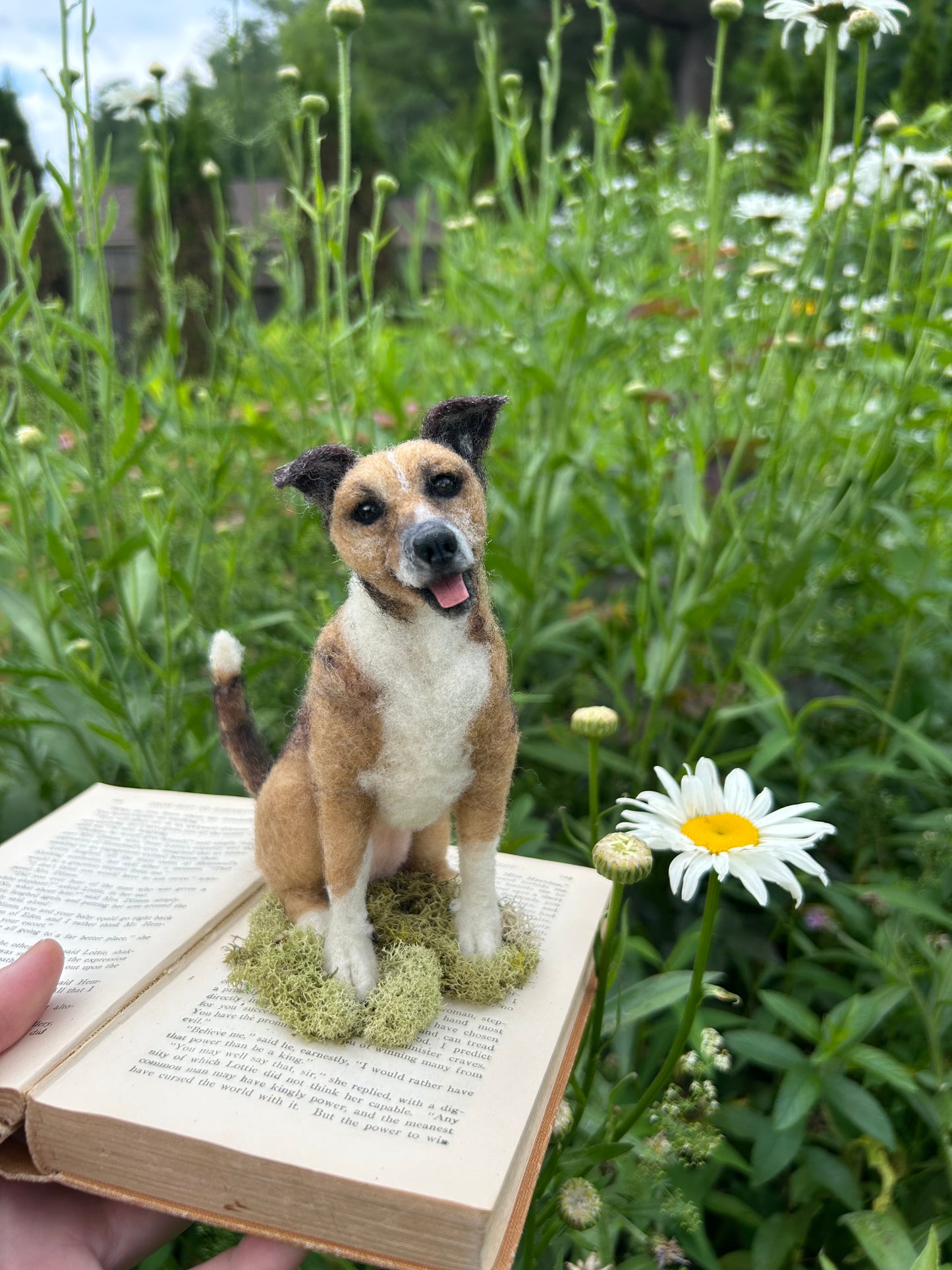 Custom Little Wool Dogs