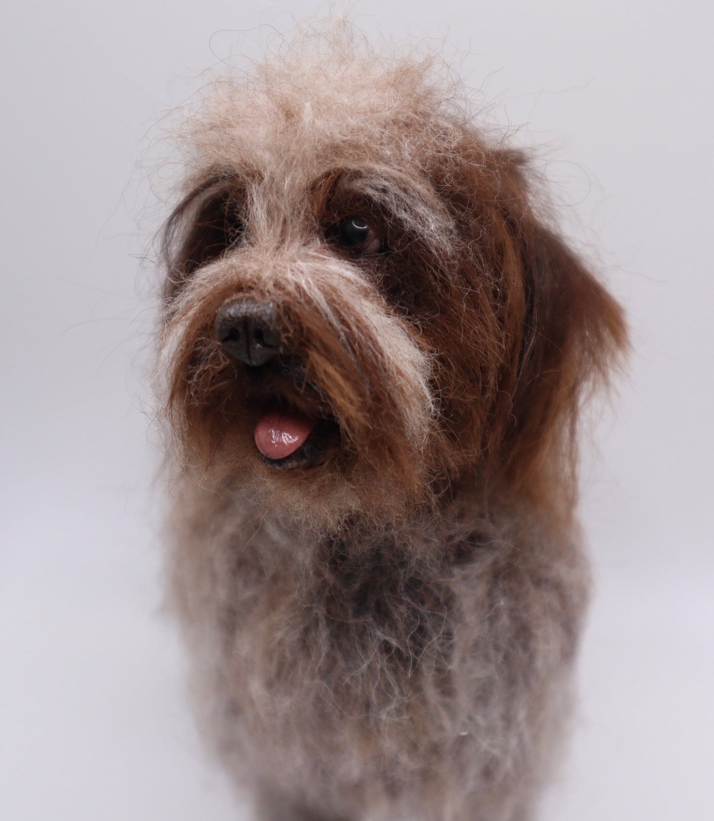 Custom Little Wool Dogs
